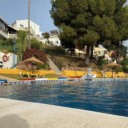Summer Paradise In Apartment