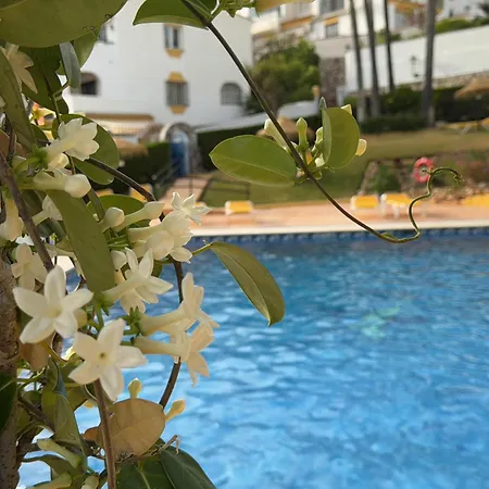 Apartment Summer Paradise In Benalmadena