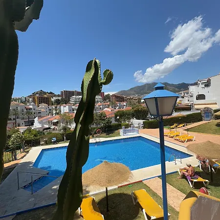 Summer Paradise In Apartment