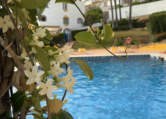 Apartment Summer Paradise In Benalmadena