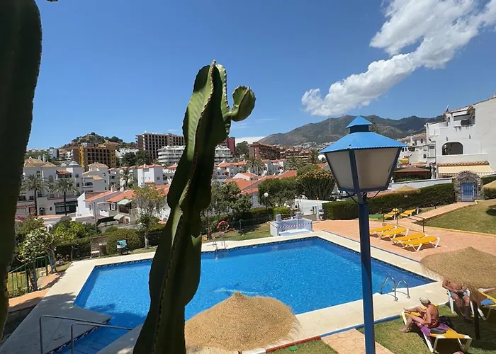 Summer Paradise In Apartment